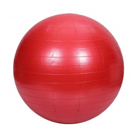 Pelota Bobath de 65 cm para Ejercicios de Estabilidad, Equilibrio, Fuerza con Bomba de Inflado - MVS IN MOTION