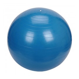 Pelota de Bobath de 55 cm para Ejercicios de Estabilidad, Equilibrio, Fuerza con Bomba de Inflado - MVS IN MOTION